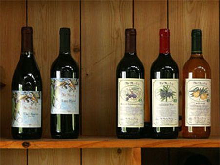 ये है चुनावी फंडा, छलकेगा जाम तो मिलेंगे वोट