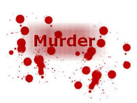 कटारा हत्याकांड: कोर्ट ने विकास के एम्स दौरे का रिकार्ड मांगा