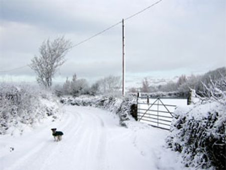शुरू हुआ हिमयुग, 11 सालों तक पड़ेगी ऐसी ठंड
