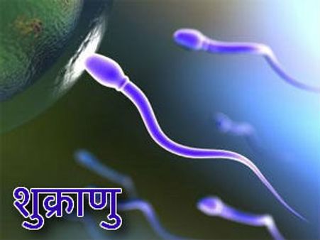 आया मौसम ठंडे-ठंडे स्‍पर्मी-कूल का