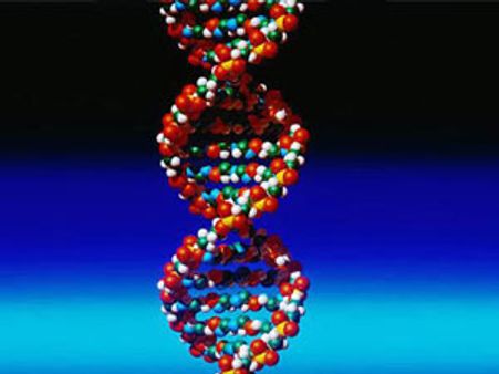 अबू हमजा की मां ने कहा परिवार का DNA नमूना कभी नहीं लिया गया