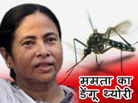डायटिंग के चक्‍कर में बढ़ रहा है राज्‍य में डेंगू: ममता