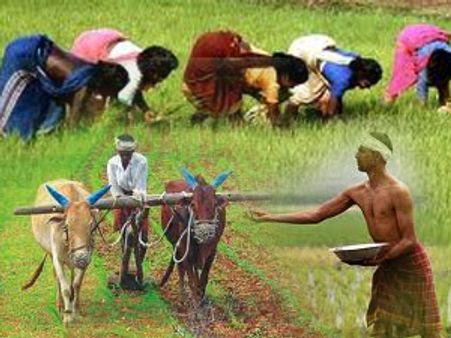 आम बजट 2013: कृषि तकनीक में सुधार के लिए 500 करोड़