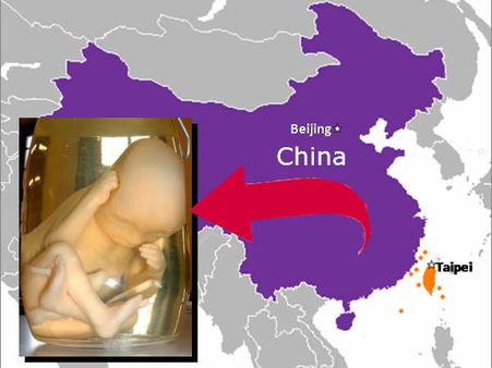 चीन में सेक्‍स पावर के लिये बेबी सूप, मेकअप के लिये भ्रूण क्रीम