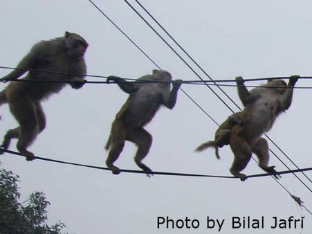 सटीक टाइम पर खींचीं गई शानदार तस्‍वीरें
