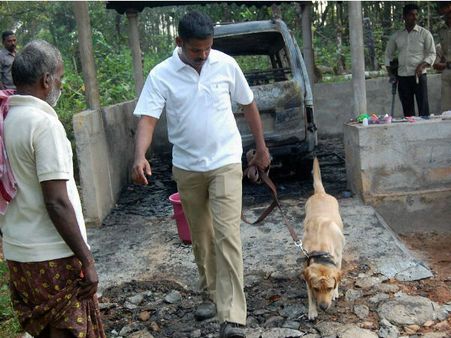 छत्‍तीसगढ़: बैलेट के बाद चली बुलेट, नक्‍सली हमले में 3 जवान शहीद