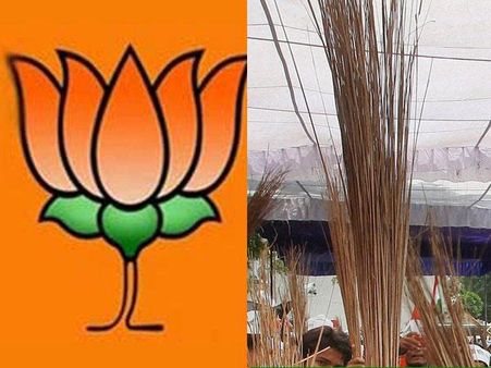 दिल्ली में नहीं लगेगा राष्ट्रपति शासन, बीजेपी बनाएगी सरकार!