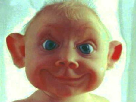 Video: देखकर हंसते हंसते लोट पोट हो जाएंगे आप