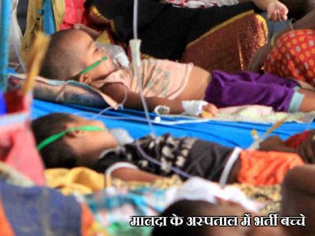चेतावनी- बाजार में 30 रुपए से 300 रुपए प्रति किलो में बिक रही मौत