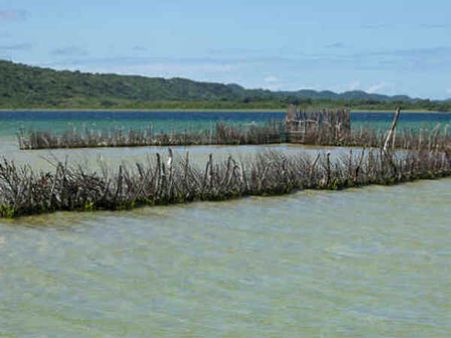 बिहार की कोसी नदी को कोसने वाले जरूर पढ़ें यह खबर