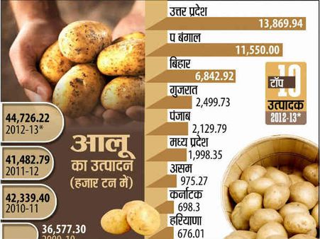 खबरदार, आलू की टिक्की महंगी न हो जाए, बढ़ते दाम आलू के