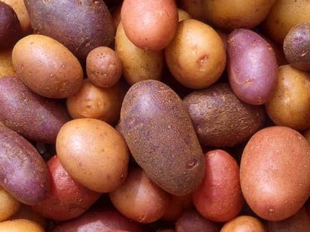 OMG! मां के कहने पर आलू को गर्भनिरोधक की जगह किया प्रयोग