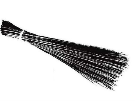 आम आदमी पार्टी की जीत से झाड़ू की कीमत बढ़ी