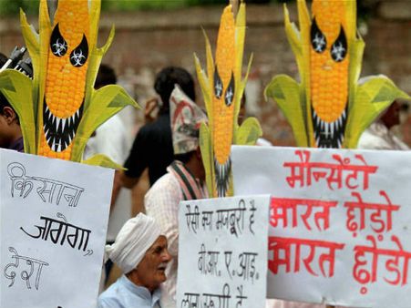 सरकार के निशाने पर क्यों आयी ग्रीनपीस इंडिया?