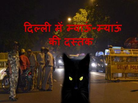 सावधान! दिल्ली में मौत की दस्तक, म्याऊं-म्याऊं का आतंक