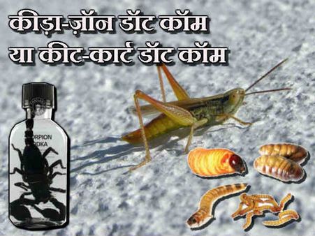 इंटरनेट पर बिक रही कोबरा की शराब और कीड़ो का आटा