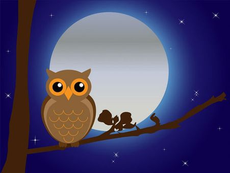 जीवन में चंद्रमा की सकारात्मक ऊर्जा पाने के लिये वास्तु टिप्स