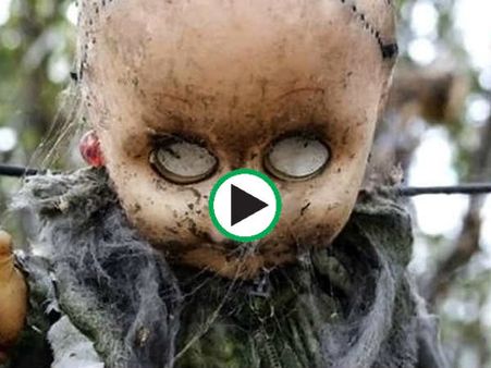 Horror Video को देख आप कहेंगे 