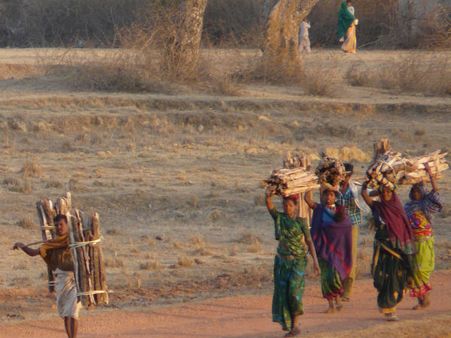 Survey: स्वास्थ्य सेवाओं की कमी के बावजूद शहरवासियों से ज्यादा स्वस्थ हैं भारत के गांव वाले