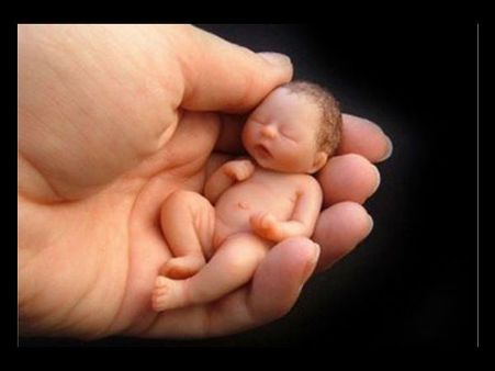 भारत-नेपाल बॉर्डर 'किराये की कोख' का धंधा, जानिए महिलाएं कैसे करती हैं अंडाणु डोनेट