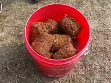 मालदा पैसेंजर ट्रेन की बोगी से 14 बम बरामद