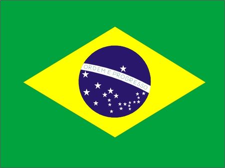 एक बुखार की वजह से ब्राजील में इमरजेंसी लगाई गई