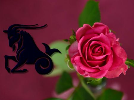 2016 में मकर राशि वालों का Love Horoscope