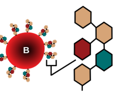 ब्लड ग्रुप के आधार पर जानें लोगों का स्वभाव