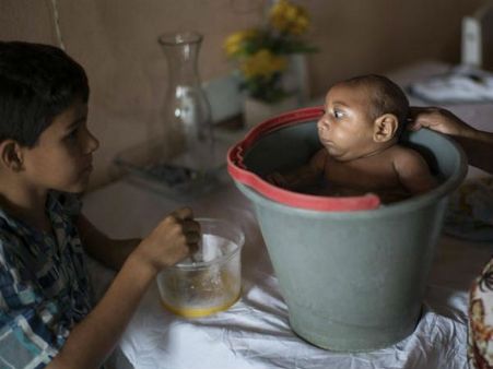 इबोला के बाद अब जीका ग्‍लोबल इमरजेंसी घोषित