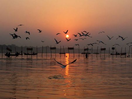 संगम में डुबकी लगाना अब पवित्र नहीं रहा, सरकार की इस रिपोर्ट के बाद गंगा में नहाने से पहले कई बार सोचना पड़ेगा