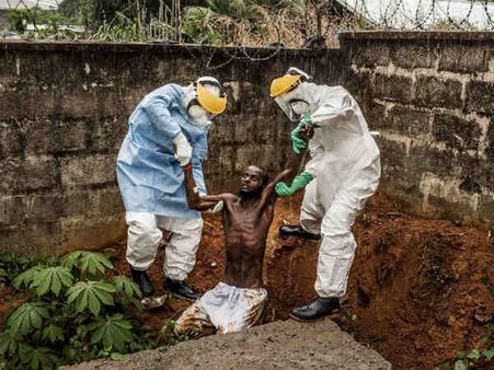 इबोला का नया वर्जन आया, सुअर बन सकते हैं मौत का कारण