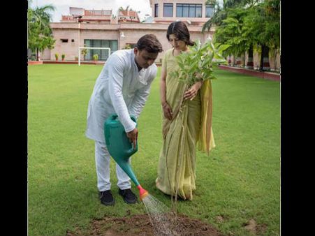 यूपी में 24 घंटों में लगेंगे 5 करोड़ पौधे, अखिलेश ने शुरु किया अभियान