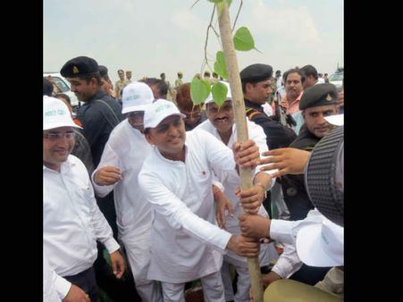 चौबीस घंटों से भी कम समय में यूपी में लग गये 5 करोड़ पौधे