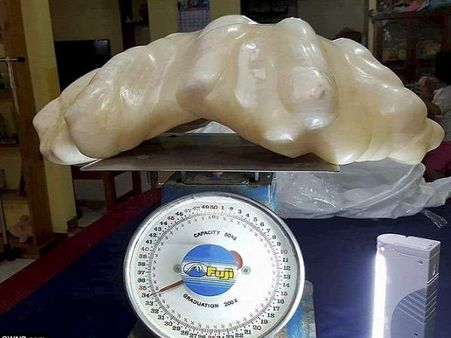 मछुआरे के बेड में मिला दुनिया का सबसे बड़ा, 670 करोड़ रुपए का मोती