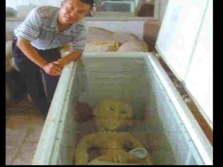 OMG! चीन के इस आदमी ने फ्रिज में किया एलियन को कैद