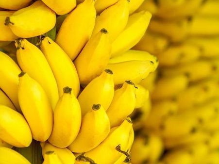 जानलेवा बीमारी एड्स से निपटने में मदद कर सकता है केला