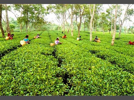 खुलासा: पुरुषों के मुकाबले भारत में महिलाओं की सैलरी में है बड़ा अंतर
