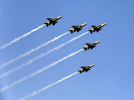 आतंकवादी नहीं इस बार गणतंत्र दिवस परेड पर पक्षियों की बुरी नजर