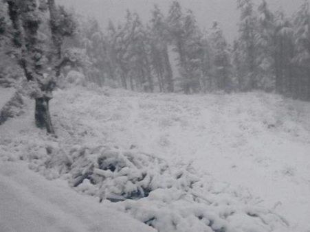 कश्मीर और हिमाचल में अगले 24 घंटों के दौरान हिमस्खलन की चेतावनी