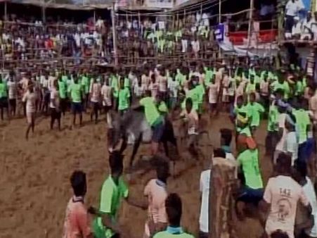 जल्लीकट्टू के आयोजन के दौरान तमिलनाडु में 49 घायल