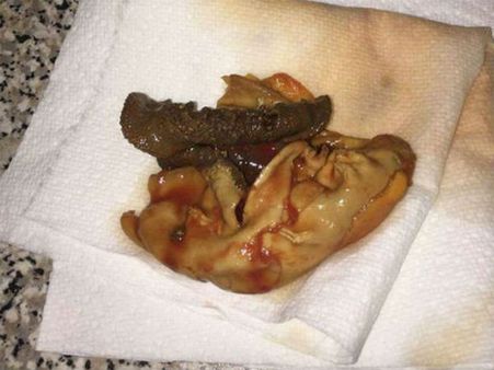 महिला ने खोला टमैटो जूस का डब्बा तो देखकर उड़ गए होश