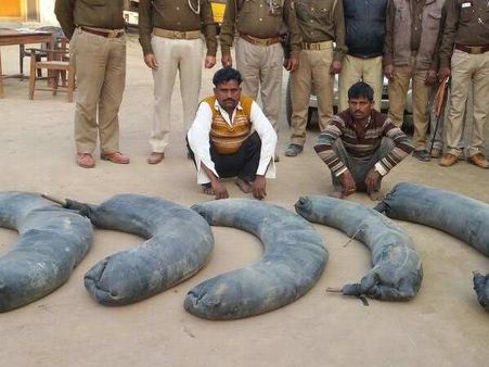 ऐसी जगह छुपा रखी थी 1000 लीटर शराब, देखकर होगी हैरानी!