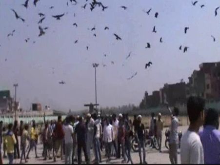 मुरादाबाद: भूखे परिंदों के लिए किया गया ये कैसा इंतजाम? मुकदमा दर्ज कर लोगों को भेजा गया जेल