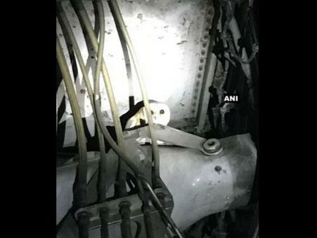 एयरलाइंस के लैंडिंग गियर में मिला जिंदा उल्लू, सुरक्षित बाहर निकाला गया