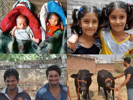 भारत का ऐसा गांव जहां बच्चे ही नहीं भैंस भी जुड़वा पैदा होती हैं, तस्वीरें