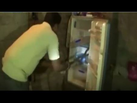 Video: ठंडा पानी लेने के लिए खोला फ्रिज, कोबरा को देखकर निकल गई चीख