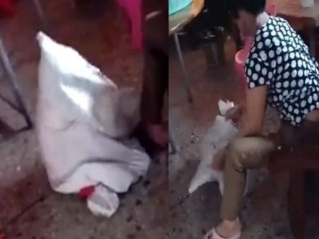 दादी ने बोरी में बांधकर बच्ची की लात-घूंसों से की पिटाई, वीडियो देखकर कलेजा कांप जाएगा