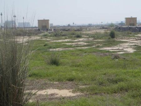 HC: यमुना एक्सप्रेस-वे जमीन अधिग्रहण रद्द, दो महीने में मुआवजा देने या जमीन वापस करने का आदेश