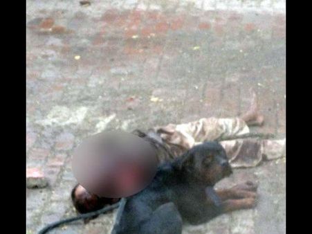 पालतू कुत्ता बना 'हैवान', केयरटेकर को नोंच-नोंच कर खाता रहा और लोग तमाशा देखते रहे