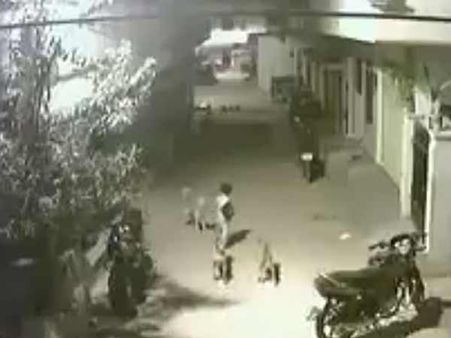 Video:सुनसान सड़क पर एक मासूम बच्‍चे पर क‍िया कुत्‍तों के झुंड ने हमला, देखिए कैसे बचाया उसने खुद को